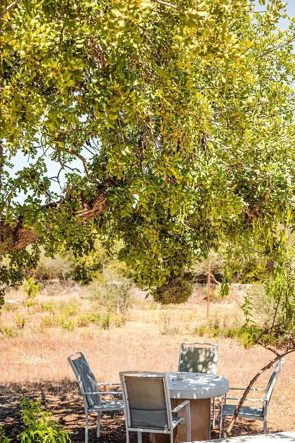 Finca Bassa Serra Santanyi Holiday home